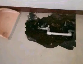 广州市卫生间测漏水多少钱